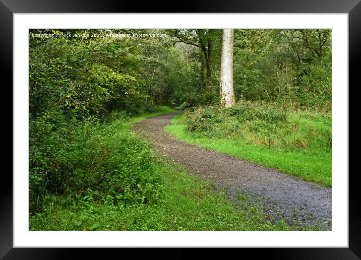 Entrance into Tyn y Coed Woods just outside Cardiff  Framed Mounted Print by Nick Jenkins