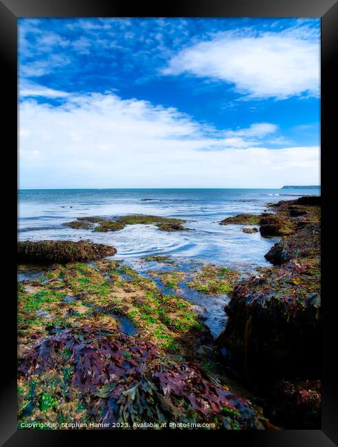 Rockpool Charm Framed Print by Stephen Hamer