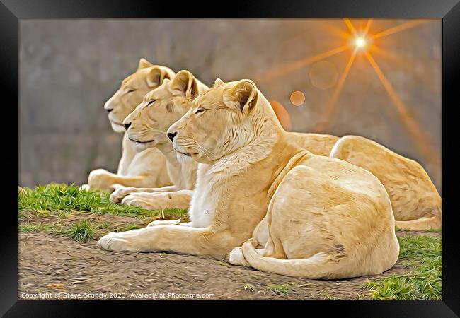 Serene Lionesses / Lions - Photo with Digital Unde Framed Print by Steve Grundy