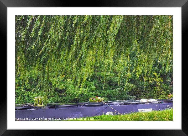 Hiding in Willow Sight. Framed Mounted Print by 28sw photography