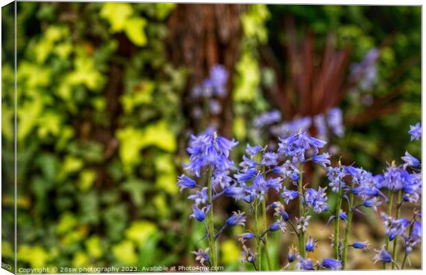 Pretty bells of Blue. Canvas Print by 28sw photography