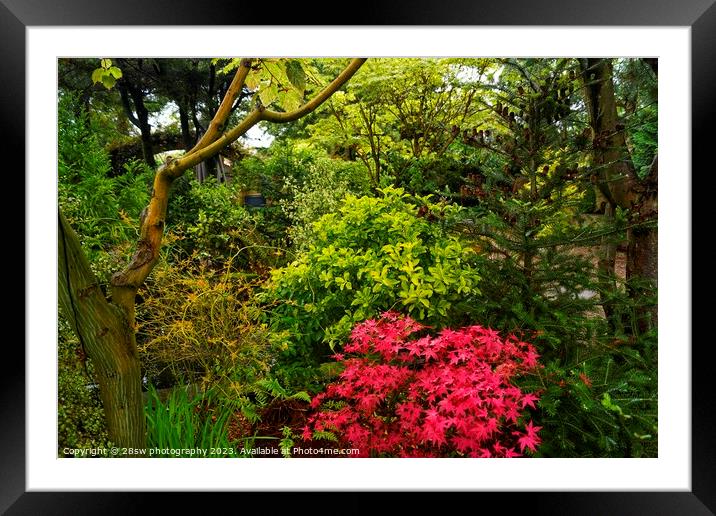 Arts in the Garden. Framed Mounted Print by 28sw photography
