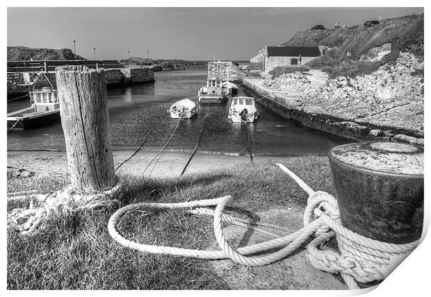 Tied up in Ballintoy Harbour Print by David McFarland