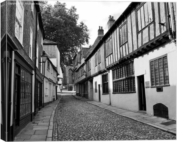 Cobbled street in Norwich Canvas Print by Andrew Heaps
