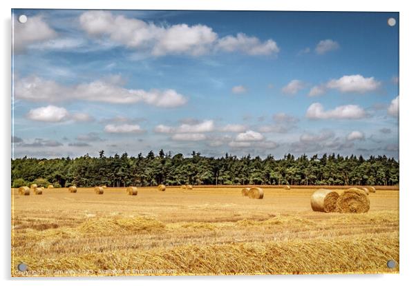 Hay Bales in Norfolk   Acrylic by Jim Key