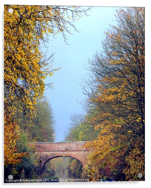 Autumn on the Oxford canal Acrylic by Linsey Williams