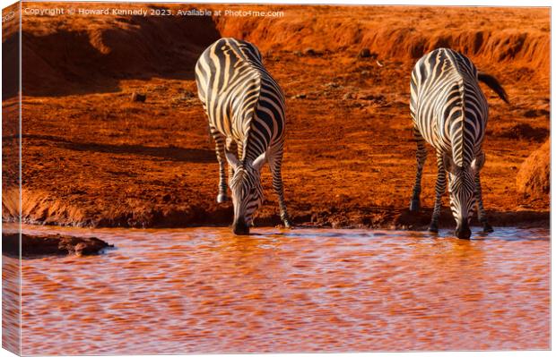 Burchell's Zebra Canvas Print by Howard Kennedy