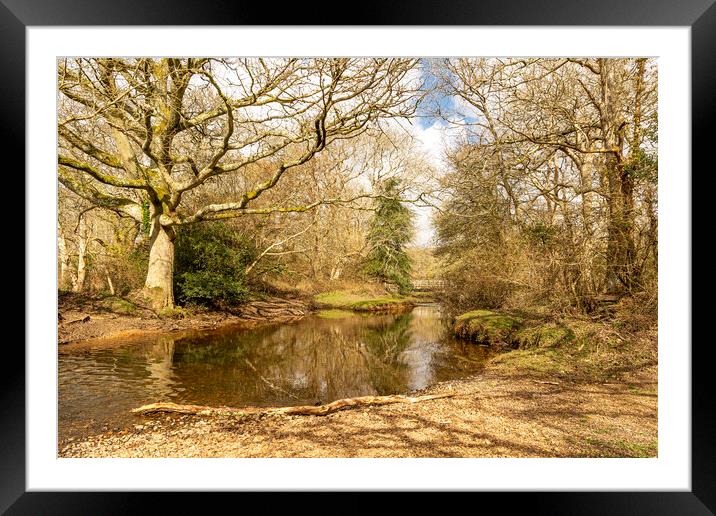 New Forest Reflections Framed Mounted Print by Malcolm McHugh