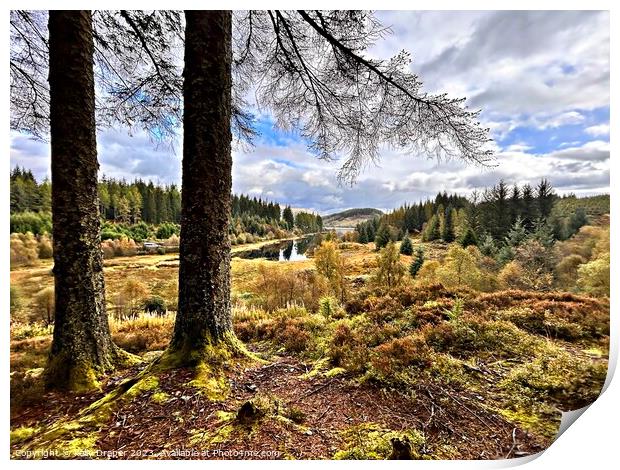 Loch Drunkie Through The Trees Print by kelly Draper