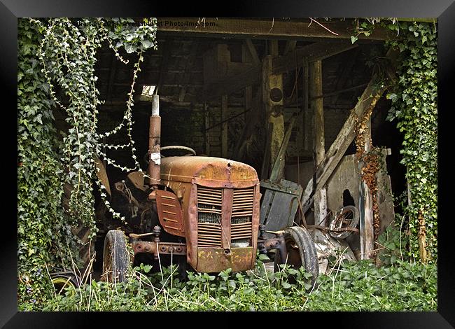  "Rusty Fergie" Vintage Ferguson Tractor in a Dila Framed Print by john hartley