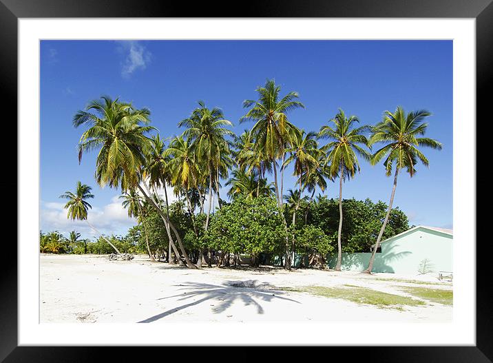 palm field Framed Mounted Print by Hassan Najmy