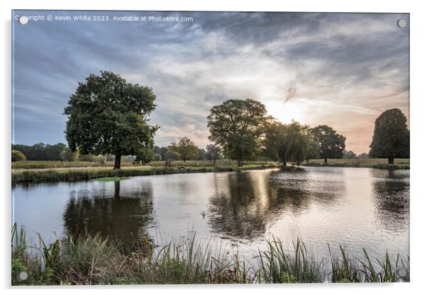 Dramatic mornings in autumn at Bushy Park ponds Acrylic by Kevin White