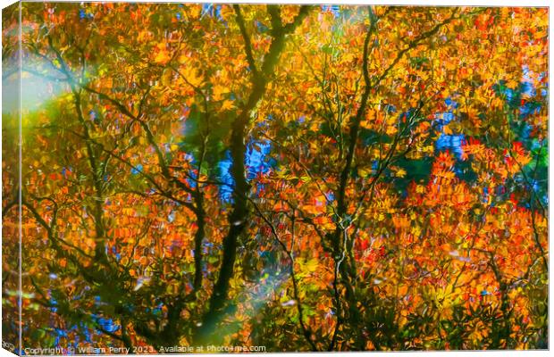 Red Orange Japanese Maple Reflection Abstract Van Dusen Garden Canvas Print by William Perry