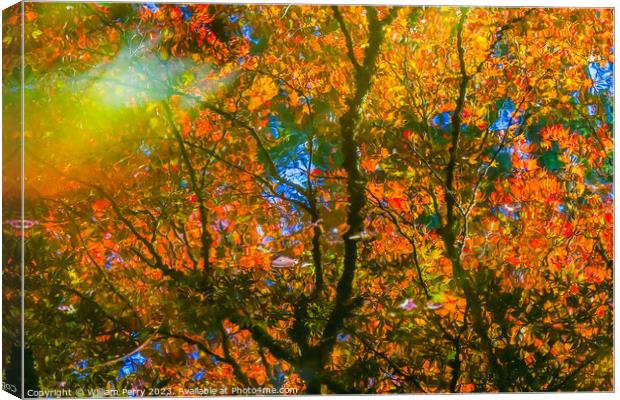 Red Orange Japanese Maple Trees Reflection Abstract Van Dusen Canvas Print by William Perry