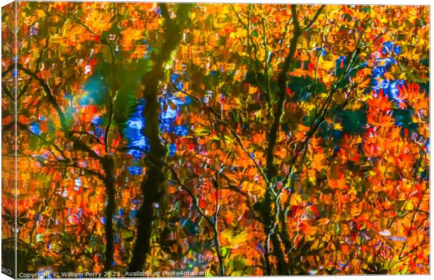Red Orange Japanese Maple Trees Reflection Abstract Van Dusen Ga Canvas Print by William Perry