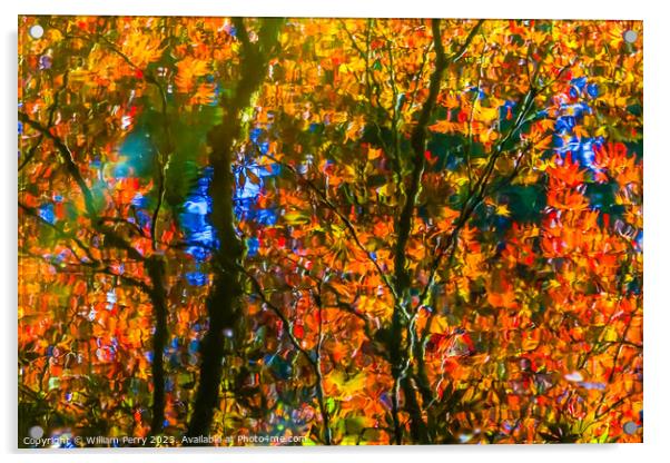 Red Orange Japanese Maple Trees Reflection Abstract Van Dusen Ga Acrylic by William Perry