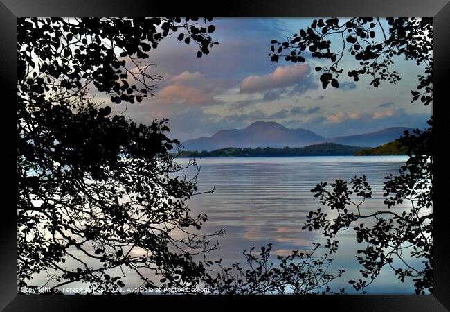 View of the ben from loch lomond  Framed Print by Teresa James
