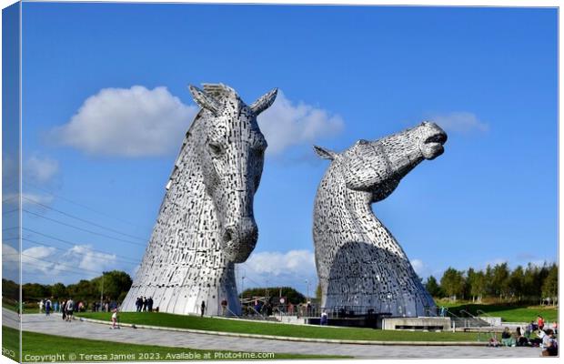 Kelpies shining on a sunny day  Canvas Print by Teresa James