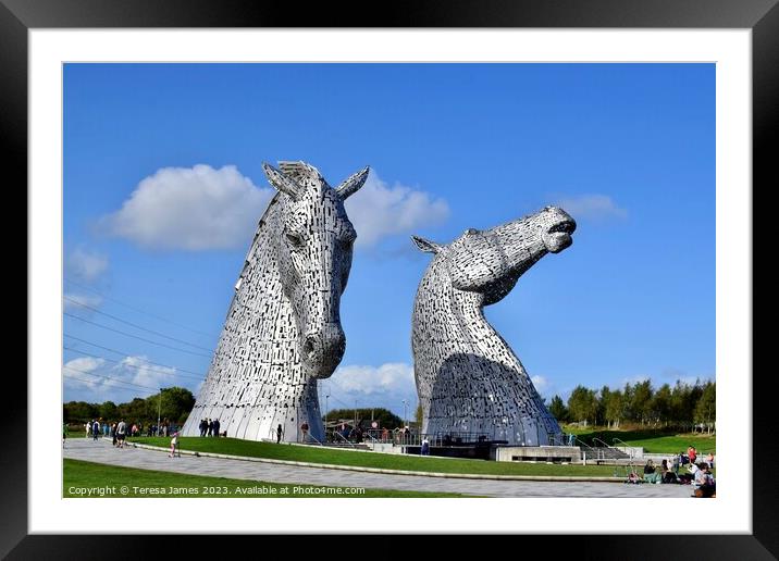 Kelpies shining on a sunny day  Framed Mounted Print by Teresa James