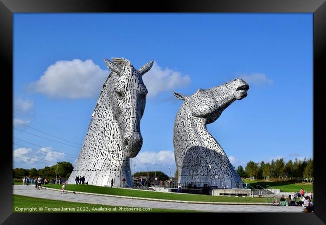Kelpies shining on a sunny day  Framed Print by Teresa James