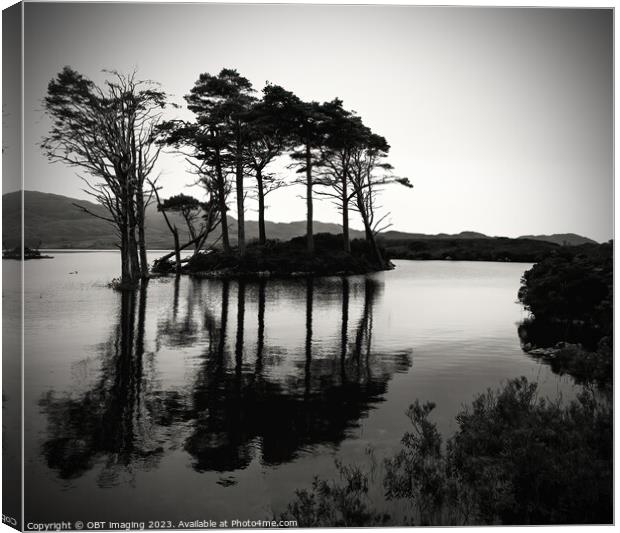 Loch Assynt Sutherland North West Scottish Highlands  Canvas Print by OBT imaging
