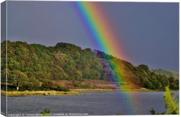 rainbow over lochdon Canvas Print by Teresa James