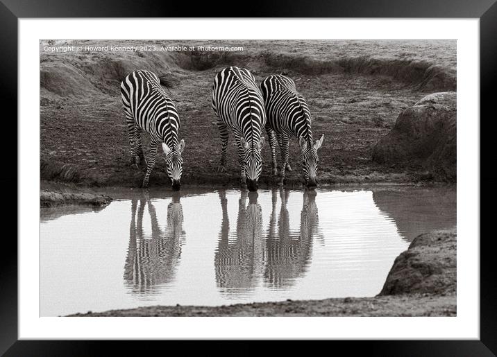 Burchell's Zebra at waterhole Framed Mounted Print by Howard Kennedy