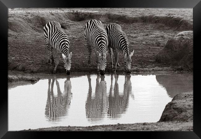 Burchell's Zebra at waterhole Framed Print by Howard Kennedy