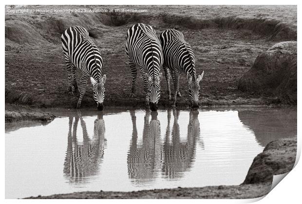 Burchell's Zebra at waterhole Print by Howard Kennedy