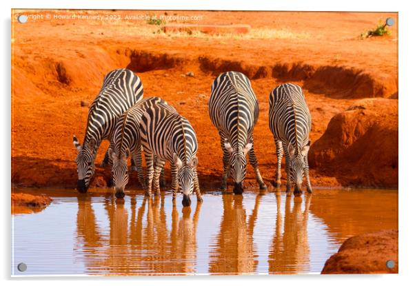 Burchell's Zebra at waterhole Acrylic by Howard Kennedy