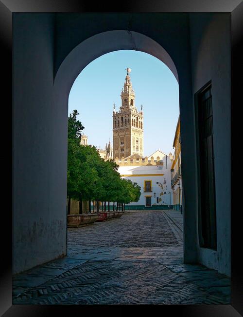 The Cathedral of Saint Mary of the See in Seville  Framed Print by Steve Painter