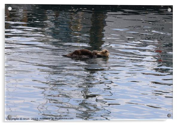 Otters in the ocean Acrylic by Arun 