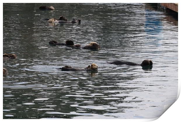 Otters in the ocean Print by Arun 