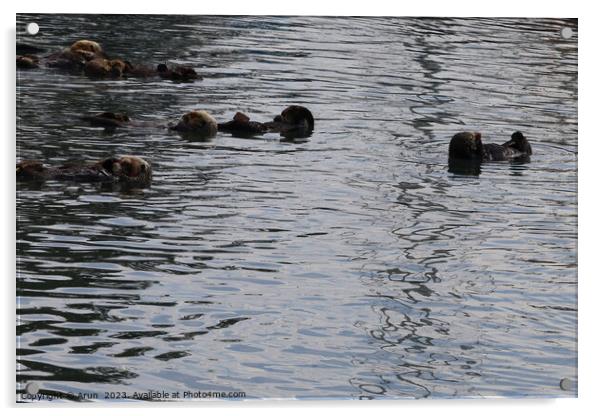 Otters in the ocean Acrylic by Arun 