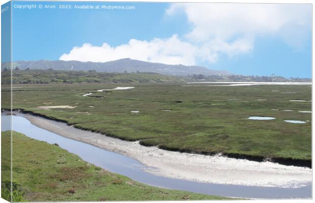 Marshes at Morro bay california Canvas Print by Arun 