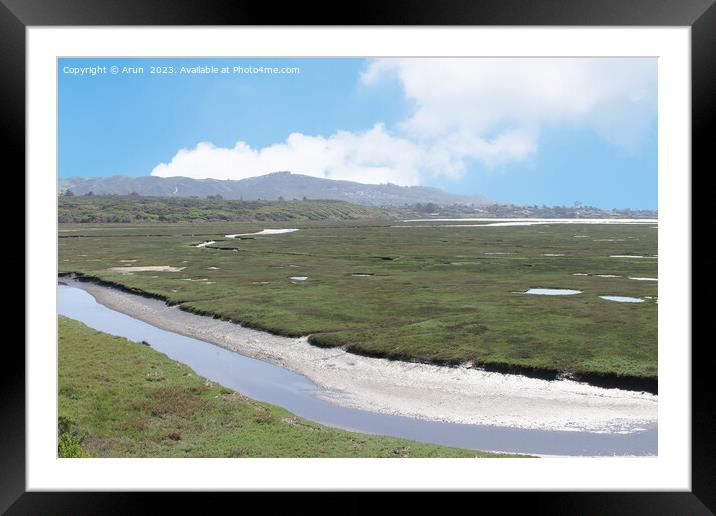 Marshes at Morro bay california Framed Mounted Print by Arun 
