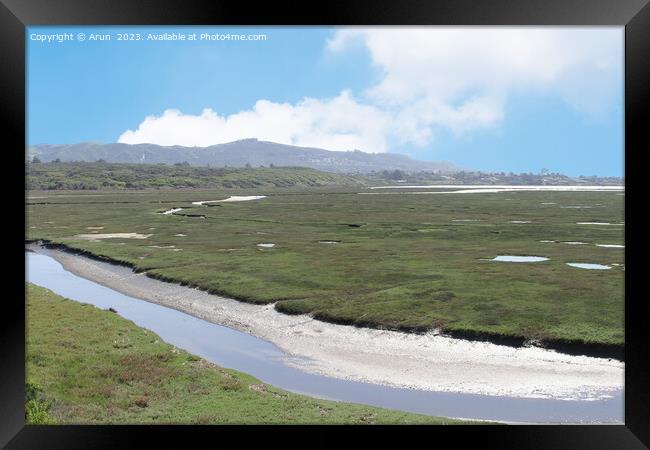 Marshes at Morro bay california Framed Print by Arun 