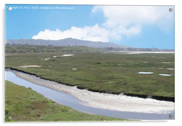 Marshes at Morro bay california Acrylic by Arun 