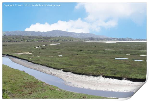 Marshes at Morro bay california Print by Arun 
