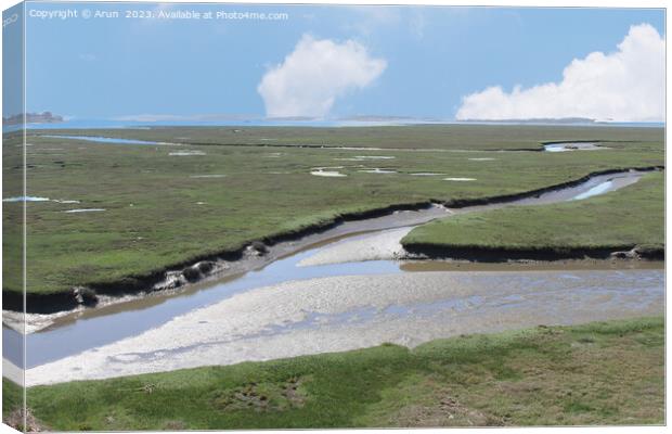 Marshes at Morro bay california Canvas Print by Arun 