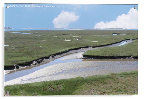 Marshes at Morro bay california Acrylic by Arun 