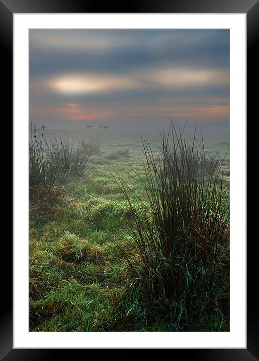 Morning Glow Framed Mounted Print by Stephen Mole