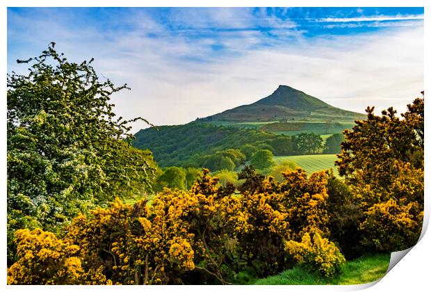 Roseberry Topping Print by Steve Smith