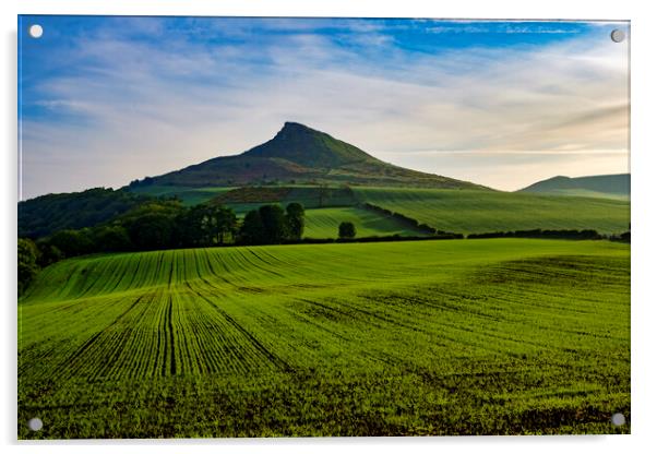 Roseberry Topping Acrylic by Steve Smith