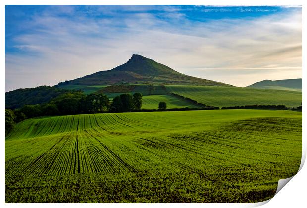 Roseberry Topping Print by Steve Smith