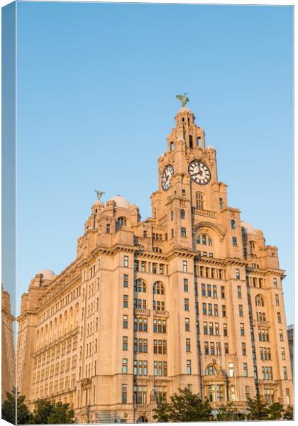 Golden light falling on the Liver Building Canvas Print by Jason Wells