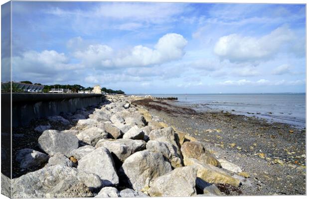 Sea defences at Spring Vale, Isle of Wight. Canvas Print by john hill