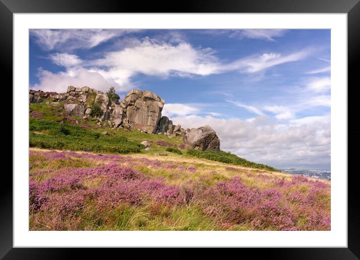 Ilkley Moor Cow and Calf Framed Mounted Print by Alison Chambers