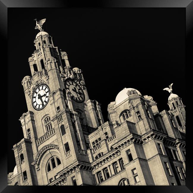 Square crop of the Royal Liver Building Framed Print by Jason Wells