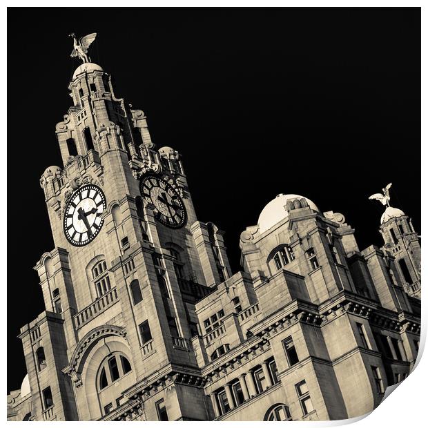 Square crop of the Royal Liver Building Print by Jason Wells